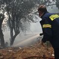 Φωτιά τώρα στη Φθιώτιδα - Επιχειρούν τρία εναέρια μέσα