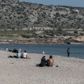 Λαγοκέφαλος επιτέθηκε σε γυναίκα που κολυμπούσε στη Βάρκιζα - Τη δάγκωσε στο πόδι, χρειάστηκε ράμματα