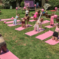 Pilates With Horses Athens