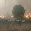 Έκλεισε η Αθηνών - Λαμίας λόγω της φωτιάς στο Ακραίφνιο Βοιωτίας - Ισχυροί οι άνεμοι στην περιοχή