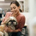 Νέα έρευνα της Mars: Οι pet-friendly χώροι εργασίας κερδίζουν έδαφος - Η Gen Z και οι Millennials οδηγούν την αλλαγή 