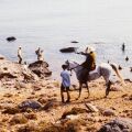 16ο Athens Open Air Film Festival powered by ΔΕΗ: Από το βιβλίο στην οθόνη με δύο κινηματογραφικά αριστουργήματα