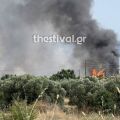 Χαλκιδική: Οριοθετήθηκε η φωτιά στη Νέα Καλλικράτεια - Παραμένουν στο σημείο οι πυροσβέστες