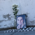 Βάγια Νέστορα