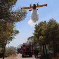 Οχήματα της Πυροσβεστικής και αεροπλάνο σε δασική πυρκαγιά