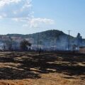 Φωτιά τώρα στη Λέσβο - Επιχειρούν και εναέρια μέσα