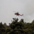 Θεσσαλονίκη: Φωτιά στη Σουρωτή - Στάλθηκε μήνυμα από το 112 στους κατοίκους να είναι σε ετοιμότητα και να ακολουθούν οδηγίες. 