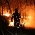 Εξαιρετικά επικίνδυνο το επόμενο διάστημα για πυρκαγιές - Η έκκληση της Πυροσβεστικής