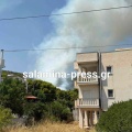 Φωτιά τώρα στα Σελήνια Σαλαμίνας