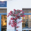 Χίμαιρα Art & Craft