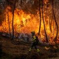 Ισπανία: Η πυρκαγιά που μαίνεται από την Πέμπτη έχει κάψει 260.000 στρέμματα, 1.200 άνθρωποι έχουν εγκαταλείψει τις εστίες τους