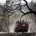 Χαλκιδική: Απαγόρευση διέλευσης την Τετάρτη σε Κασσάνδρα, Σιθωνία και Δήμο Αριστοτέλη λόγω αυξημένου κινδύνου πυρκαγιάς - Αναλυτικά οι περιοχές.