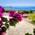 Ο καιρός σήμερα: Ηλιοφάνεια με ζέστη έως 38°C, μεταφορά αφρικανικής σκόνης και τοπικές μπόρες στα ορεινά - Αναλυτική πρόγνωση για όλη τη χώρα.