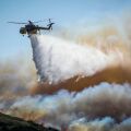 Φωτιά σε δασική έκταση στο Καλλίδρομο Φθιώτιδας - Επιχειρούν 43 πυροσβέστες, πεζοπόρα τμήματα, 12 οχήματα, ελικόπτερο και 5 αεροσκάφη