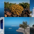 Σαντορίνη: Τα εντός τοπία - Η χρωματική εκδοχή