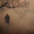 Νέα φωτιά αυτή την ώρα στο Λασίθι - Ήχησε το 112
