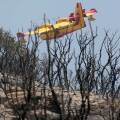 Canadair πάνω από καμένες εκτάσεις μετά την πυρκαγιά