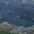 Κάηκε μεγάλο μέρος του εμβληματικού φοινικόδασους της Πρέβελης  - Αποκαρδιωτικές εικόνες