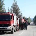 Πυροσβέστες επιχειρούν σε φωτιά στη Χαλκιδική