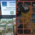 Λεφτά, όπλα, ναρκωτικά και... παπαγάλοι κατασχέθηκαν από την ΑΑΔΕ σε τελωνεία και αεροδρόμια