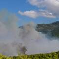 Η φωτιά στη Βοιωτία καίει παρθένο δάσος στην περιοχή που βρίσκεται το Πόρτο Γερμενό