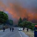 Πυρκαγιά στη Βοιωτία