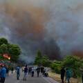 Μεγάλη φωτιά στη Βοιωτία καίει δάσος