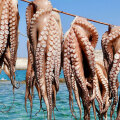 Aegean Cuisin - Κυκλάδες πέρα από την καρτ ποστάλ: η αυθεντική γεύση των νησιών