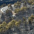 Πάνω από 180.000 καμένων δασικών εκτάσεων σε λίγες μόλις ημέρες, σύμφωνα με το WWF - Προειδοποιεί για κίνδυνο οριστικής υποβάθμισης των οικοσυστημάτων