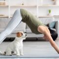 Πρώτη φορά Puppy Yoga στη Χαλκιδική με διασωθέντα κουτάβια - Πρωτοβουλία ευεξίας και φιλανθρωπίας για την ενίσχυση αδέσποτων ζώων.