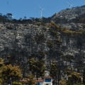 Φωτιά στη Βοιωτία