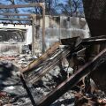 Δυτική Αττική: Η επόμενη μέρα των πυρκαγιών - Σε εξέλιξη βρίσκονται τα αντιδιαβρωτικά έργα - Το πρόγραμμα Antinero περιόρισε την καταστροφή σε καίριες περιοχές.