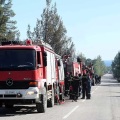 Οριοθετήθηκε μέσα σε μισή ώρα φωτιά στα Πυργαδίκια Χαλκιδικής - Στο σημείο επιχειρούν 30 πυροσβέστες, έρευνα από το Ανακριτικό Κλιμάκιο