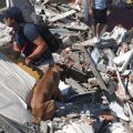 Κολομβία: Αυξάνεται δραματικά ο αριθμός των νεκρών από τον ισχυρό σεισμό 7,4 Ρίχτερ – Δεκάδες κτίρια κατέρρευσαν