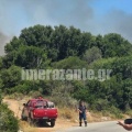 Φωτιά στις Ελιές Ζακύνθου