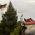 Καναντέρ και όχημα της πυροσβεστικής