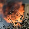 Πυρκαγιά εκδηλώθηκε στα Σήμαντρα Χαλκιδικής - Επιχειρούν 45 πυροσβέστες, 4 εναέρια μέσα και μηχανήματα του Δήμου υπό τη συνεχή επιτήρηση drones