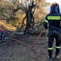 Πυροσβέστης επιχειρεί σε φωτιά στην Κάρυστο