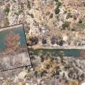 Το φοινικόδασος Πρέβελη στο Ρέθυμνο μετά την πυρκαγιά του Ιουλίου