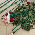 Επιχείρηση «Τα άνθη του κακού»: Κύκλωμα έκρυβε 84 κιλά κοκαΐνης μέσα σε τριαντάφυλλα