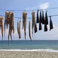 Πήλιο, οι κρυφοί του παράδεισοι ταιριάζουν σε σένα που προτιμάς τις διακοπές σου τον Σεπτέμβρη