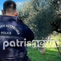 Ηλεία: Νεκρός 40χρονος σε αγροτική έκταση