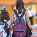 Μαθητικές επιδόσεις, ανισότητα και αναχρονιστικές ιδέες