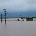 Η κακοκαιρία συνεχίζεται στο Λασίθι με εκτεταμένες ζημιές σε οδικό δίκτυο και καλλιέργειες - Απαγορεύσεις κυκλοφορίας και συστάσεις των αρχών στους πολίτες.