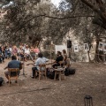 «Μια βραδιά κάτω από την ελιά»: Το πολιτιστικό φεστιβάλ που επιστρέφει για 5η χρονιά στη Νάξο
