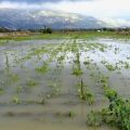 Στην Κρήτη βρίσκεται κυβερνητικό κλιμάκιο για την αποτίμηση των ζημιών από την κακοκαιρία και τον συντονισμό των έργων αποκατάστασης