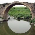 Συναγερμός στον Ασωπό ποταμό: Εντοπίστηκε βακτήριο χολέρας σε δείγματα νερού 
