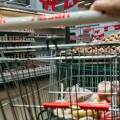 Καρότσι με τρόφιμα σε διάδρομο σούπερ μάρκετ