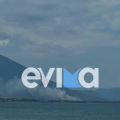 Φωτιά τώρα στην Εύβοια
