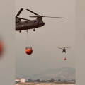 Βίντεο από τη συνδρομή των Ενόπλων Δυνάμεων στην αντιμετώπιση της μεγάλης φωτιάς στην Αττικοβοιωτία